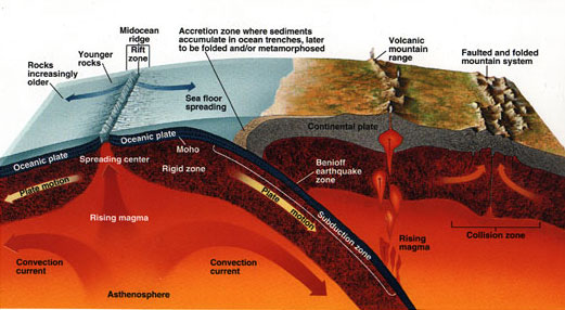 Chart showing how sea floor spreading raises continents