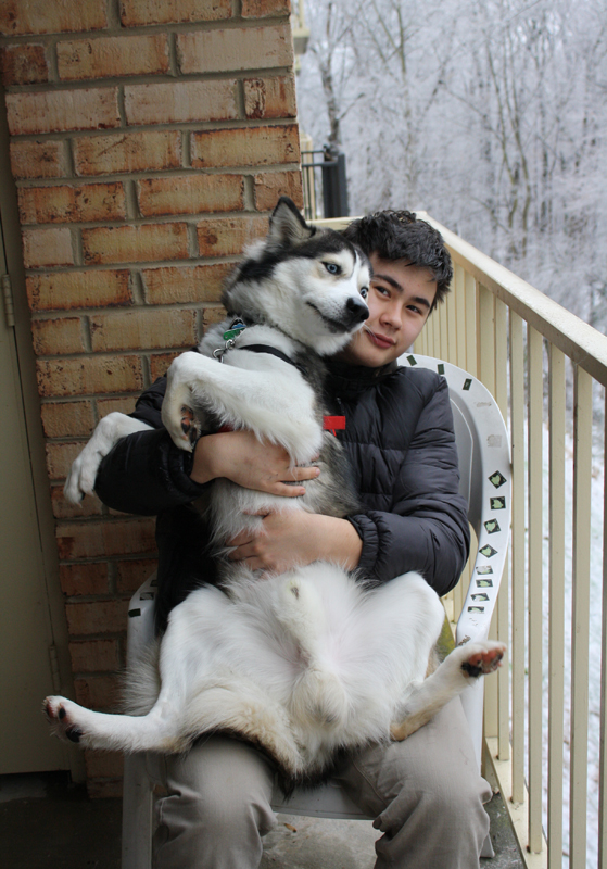 Big Fluffy Husky