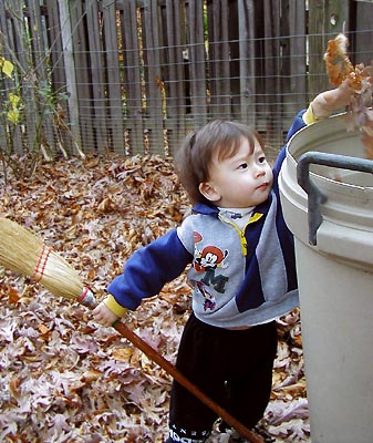 Cleaning The Leaves