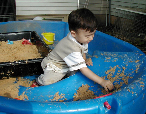 Arthur Plays In The Sandbox