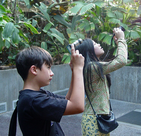 Young Photographers